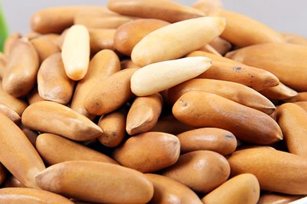 松子为什么不能多吃 吃多了有害无益 松子为什么不能多吃 吃多了有害无益