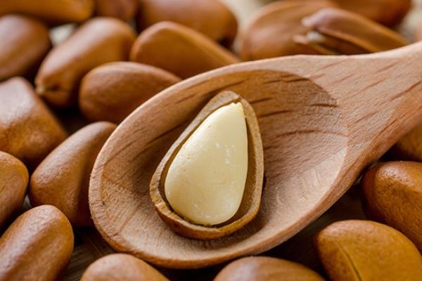 松子为什么不能多吃 吃多了有害无益 松子为什么不能多吃 吃多了有害无益