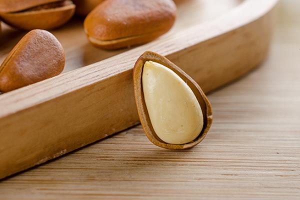 松子为什么不能多吃 吃多了有害无益 松子为什么不能多吃 吃多了有害无益