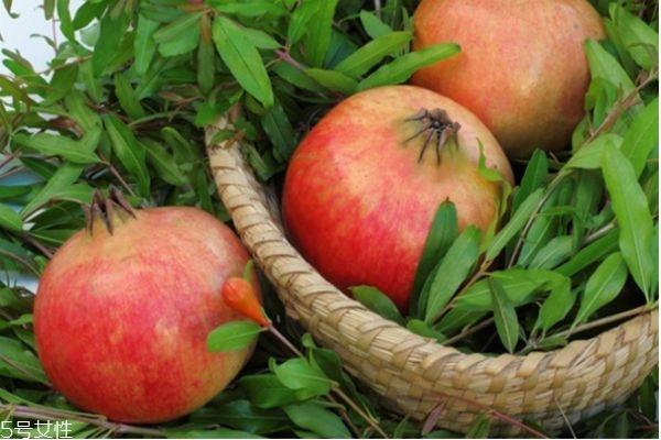 怀孕了可以吃石榴吗 石榴全身都是宝 怀孕了可以吃石榴吗 石榴全身都是宝