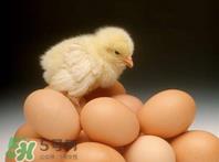 天天吃鸡蛋好吗?天天吃鸡蛋会发胖吗? 天天吃鸡蛋好吗?天天吃鸡蛋会发胖吗?