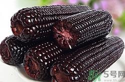 黑玉米是什么品种?黑玉米是转基因的吗