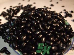 黑玉米是什么品种?黑玉米是转基因的吗