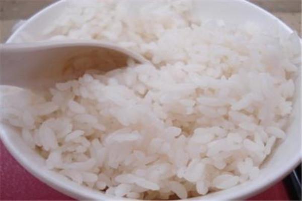 米饭能放几天 米饭最好不要隔夜