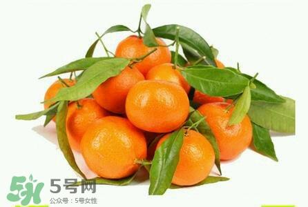 一岁宝宝可以吃沙糖桔吗?宝宝吃沙糖桔会上火吗 一岁宝宝可以吃沙糖桔吗?宝宝吃沙糖桔会上火吗