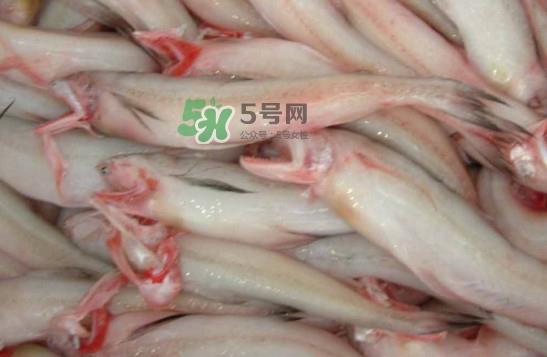 龙头鱼怎么炸?龙头鱼怎么做汤 龙头鱼怎么炸?龙头鱼怎么做汤