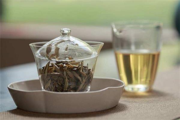 白茶是凉性的吗 白茶是绿茶吗 白茶是凉性的吗 白茶是绿茶吗