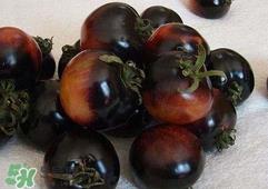 黑番茄能生吃吗?黑番茄可以生吃吗 黑番茄能生吃吗?黑番茄可以生吃吗