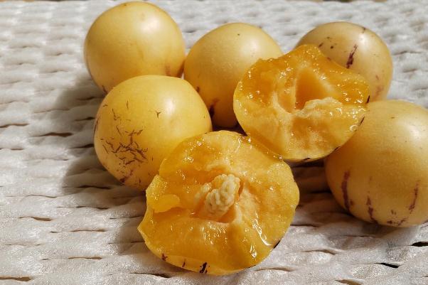 人参果是硬的好吃还是软的好吃 人参果是硬的怎么办 人参果是硬的好吃还是软的好吃 人参果是硬的怎么办