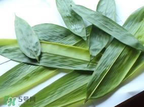 如何挑选粽叶？粽子叶怎么选？