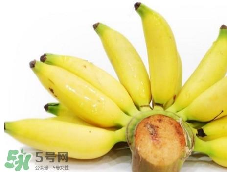 皇帝蕉有什么好处?皇帝蕉的功效与作用 皇帝蕉有什么好处?皇帝蕉的功效与作用