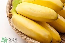 皇帝蕉有什么好处?皇帝蕉的功效与作用 皇帝蕉有什么好处?皇帝蕉的功效与作用