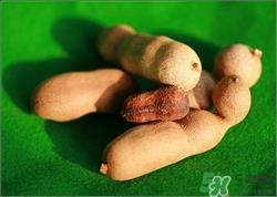 甜角是什么东西?甜角的功效与作用 甜角是什么东西?甜角的功效与作用