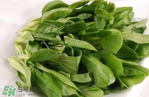 小白菜怎么做好吃?小白菜怎么炒好吃 小白菜怎么做好吃?小白菜怎么炒好吃