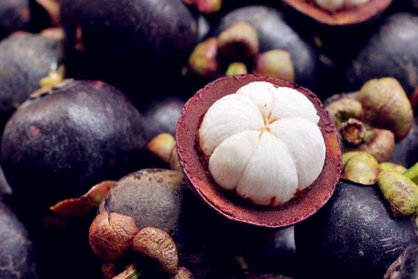 山竹怎么选购 山竹如何存放 山竹怎么选购 山竹如何存放