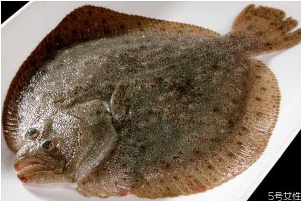 吃比目鱼有什么好处呢 比目鱼怎么做好吃呢 吃比目鱼有什么好处呢 比目鱼怎么做好吃呢