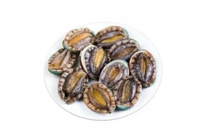 ​鲍鱼有牙齿吗 鲍鱼有几头什么意思