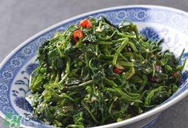 灰灰菜有什么功效?灰灰菜的功效与作用 灰灰菜有什么功效?灰灰菜的功效与作用