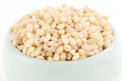 ​麦仁有什么营养价值呢 吃麦仁有什么好处呢