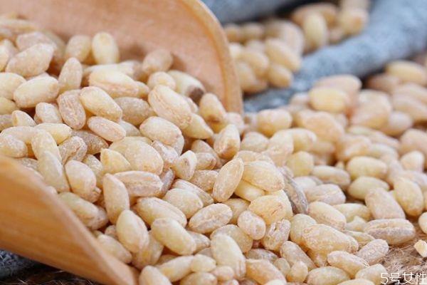 麦仁有什么营养价值呢 吃麦仁有什么好处呢 麦仁有什么营养价值呢 吃麦仁有什么好处呢