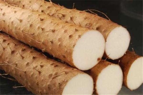 铁棍山药是什么 铁棍山药好吗 铁棍山药是什么 铁棍山药好吗