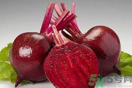 甜菜是甜的吗?甜菜到底是不是甜的? 甜菜是甜的吗?甜菜到底是不是甜的?