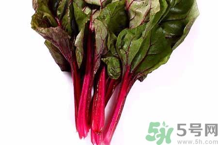 甜菜是甜的吗?甜菜到底是不是甜的? 甜菜是甜的吗?甜菜到底是不是甜的?