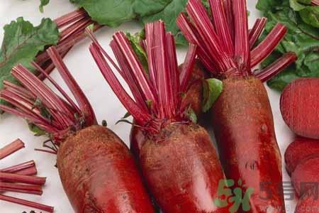 甜菜是甜的吗?甜菜到底是不是甜的? 甜菜是甜的吗?甜菜到底是不是甜的?