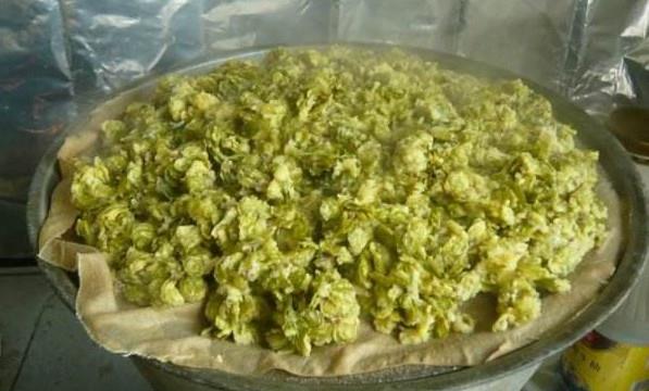 榆钱苦累怎么做？榆钱苦累的做法