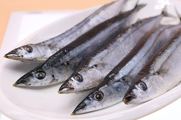 秋刀鱼怎么煎 教你做香煎秋刀鱼 秋刀鱼怎么煎 教你做香煎秋刀鱼