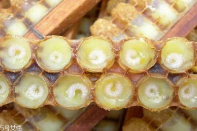 ​蜂王浆的功效有什么呢 蜂王浆应该怎么储藏呢