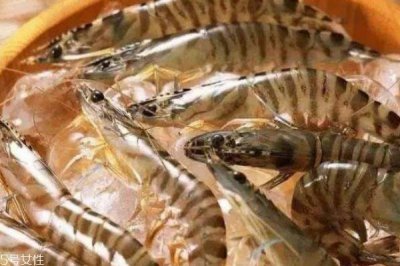 ​基围虾有什么营养价值呢 基围虾的热量是多少呢