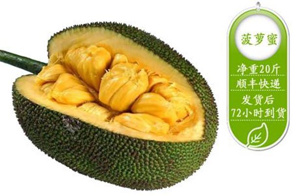 菠萝蜜有几个品种 菠萝蜜有哪些品种 菠萝蜜有几个品种 菠萝蜜有哪些品种