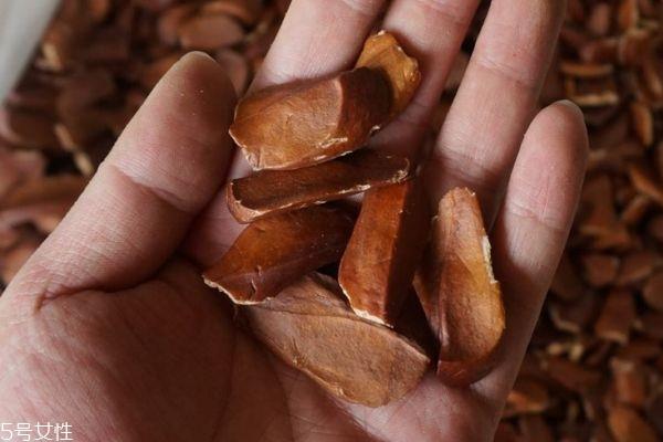 向天果是什么呢 向天果可以吃吗