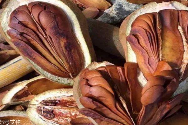 向天果是什么呢 向天果可以吃吗