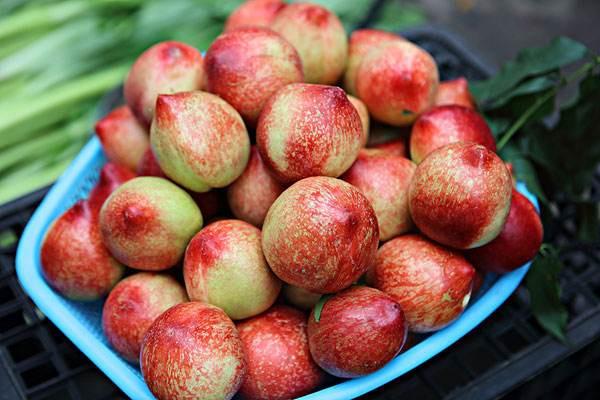 油桃的营养价值是什么 油桃的作用 油桃的营养价值是什么 油桃的作用