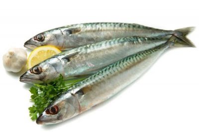 ​鲅鱼会引起过敏吗 吃鲅鱼过敏的症状是什么