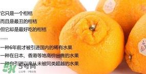 丑八怪水果多少钱一斤？不知火杂柑一斤多少钱