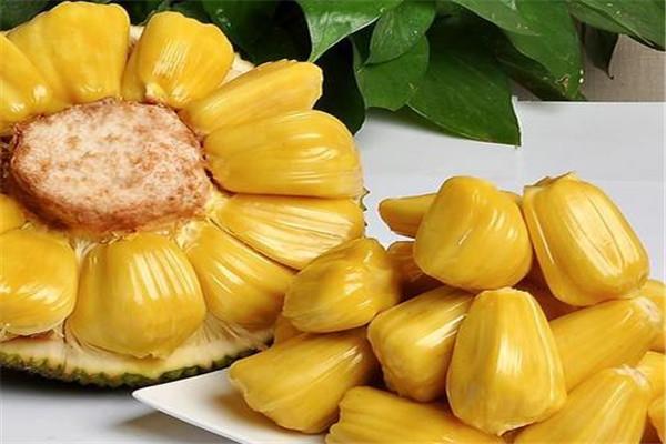 菠萝蜜有黑点能吃吗 菠萝蜜的功效与营养是什么