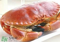 熟冻面包蟹好吃吗？面包蟹是鲜活的好还是熟冻的好