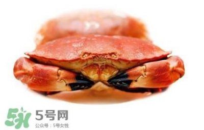 ​熟冻面包蟹好吃吗？面包蟹是鲜活的好还是熟冻的好