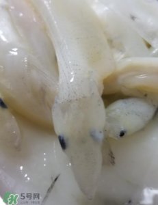 ​银鱼怎么保存？银鱼可以放在冰箱冷冻保存吗？