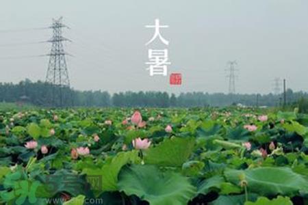 大暑吃什么水果?大暑吃什么水果养生? 大暑吃什么水果?大暑吃什么水果养生?