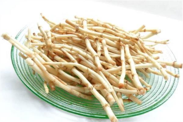 鱼腥草什么季节吃最好 鱼腥草怎么挑选嫩