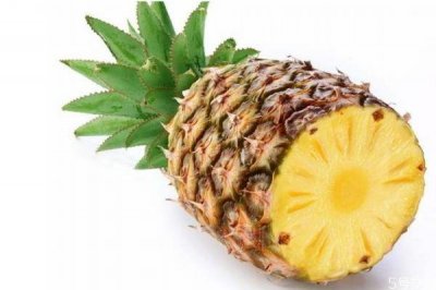​菠萝减肥是真的吗 菠萝减肥每天可以瘦几斤呢