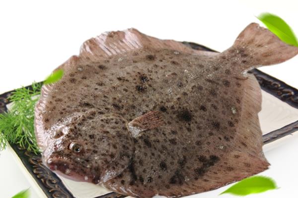 多宝鱼可以切块红烧吗 当然是可以的