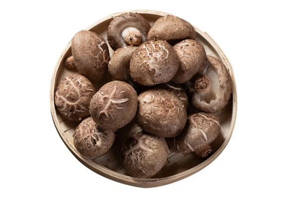 花菇和香菇的营养价值一样吗 花菇是香菇吗 花菇和香菇的营养价值一样吗 花菇是香菇吗