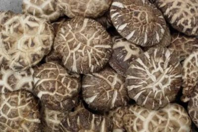 ​花菇和香菇的营养价值一样吗 花菇是香菇吗