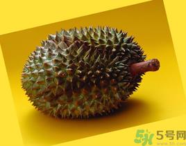 榴莲可以冷冻保存吗?榴莲放冰箱是冷藏还是冷冻? 榴莲可以冷冻保存吗?榴莲放冰箱是冷藏还是冷冻?