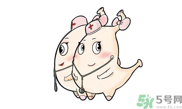 胃不好能喝酸奶吗?胃不好吃什么养胃? 胃不好能喝酸奶吗?胃不好吃什么养胃?